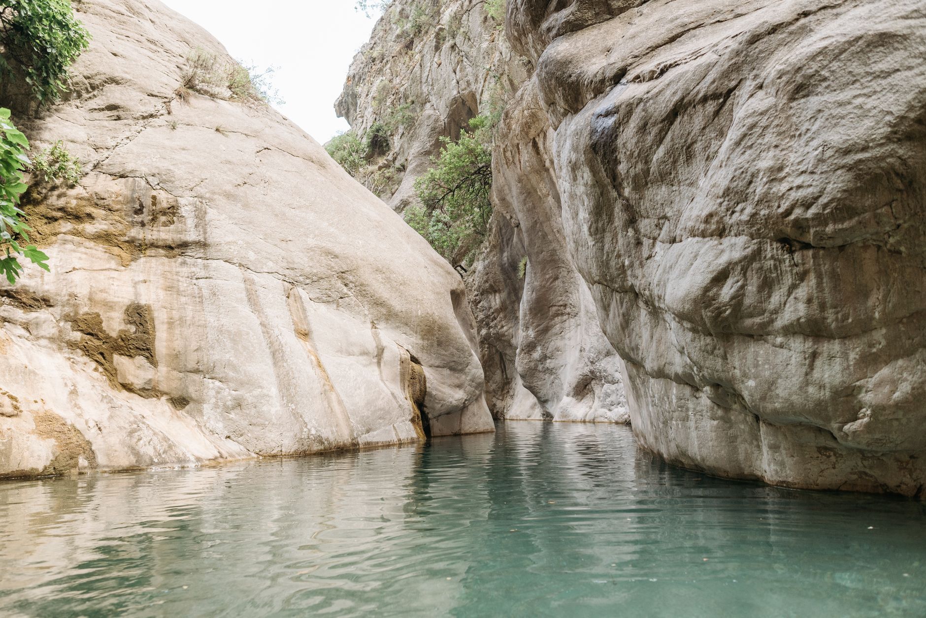 Canyon basaltique et eaux claires des gorges de l'Alcantara